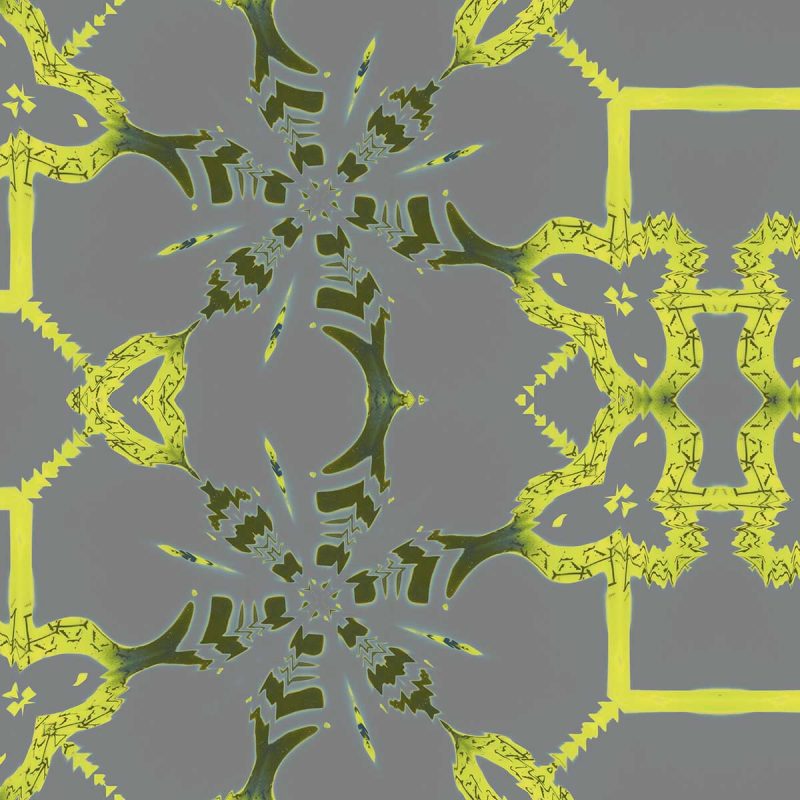 Arachne is a yellow and gray home decor pattern. This lattice inspired design vibrates with life.