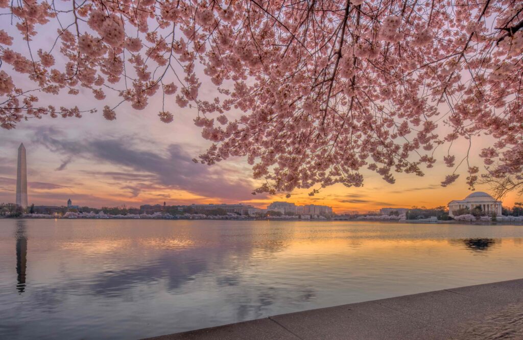 a beautiful sunset photograph of washington DC