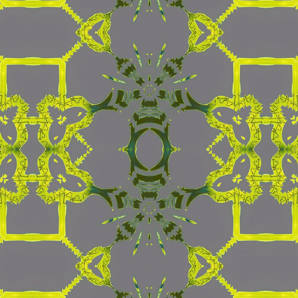 Arachne is a square, grey and citron art print of playful trellis patterns.